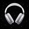 Pods Max silver